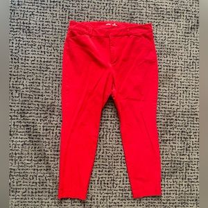 Pixie Cut Dress Pant